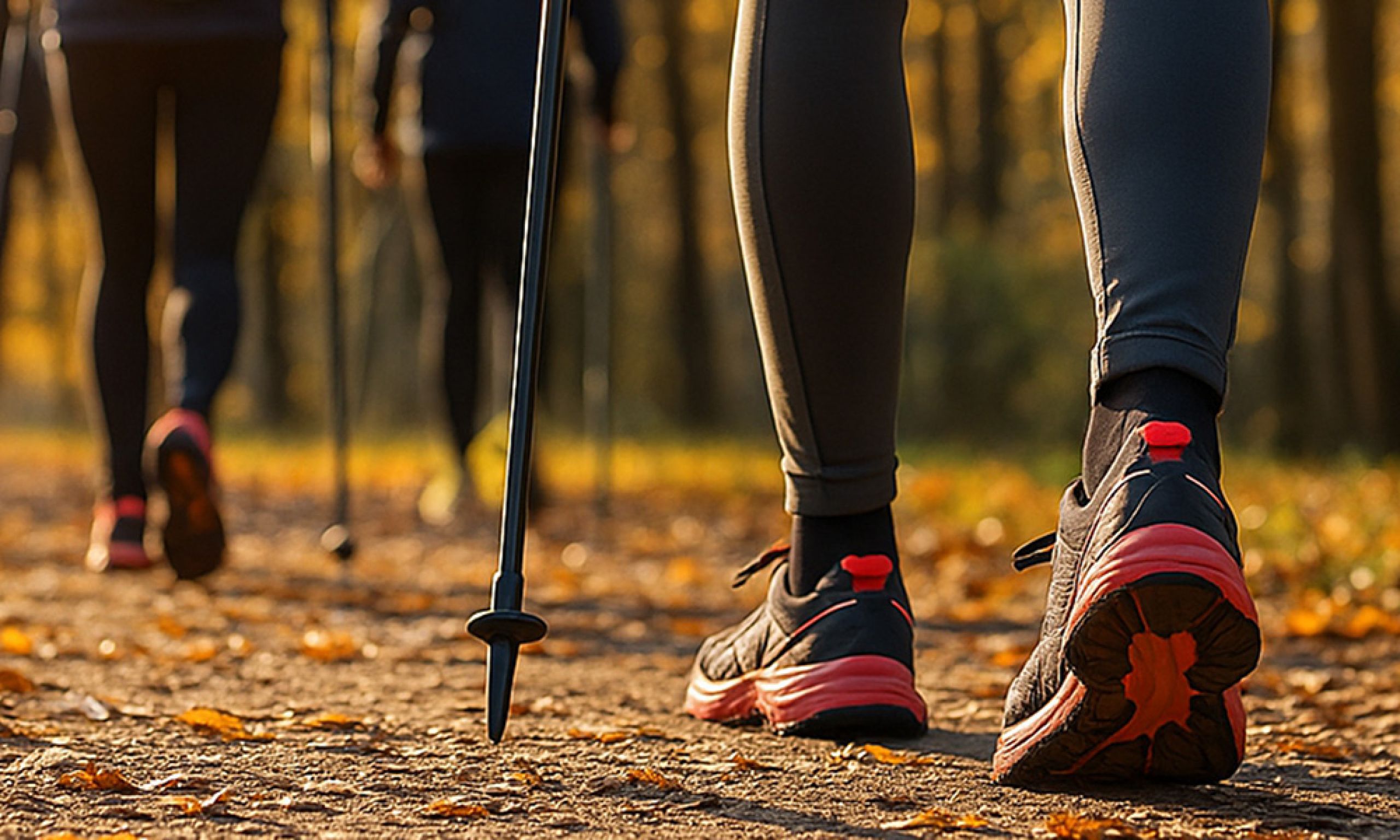 Laufgruppe mit Walking-Stöcken in einem herbstlichen Wald unterwegs